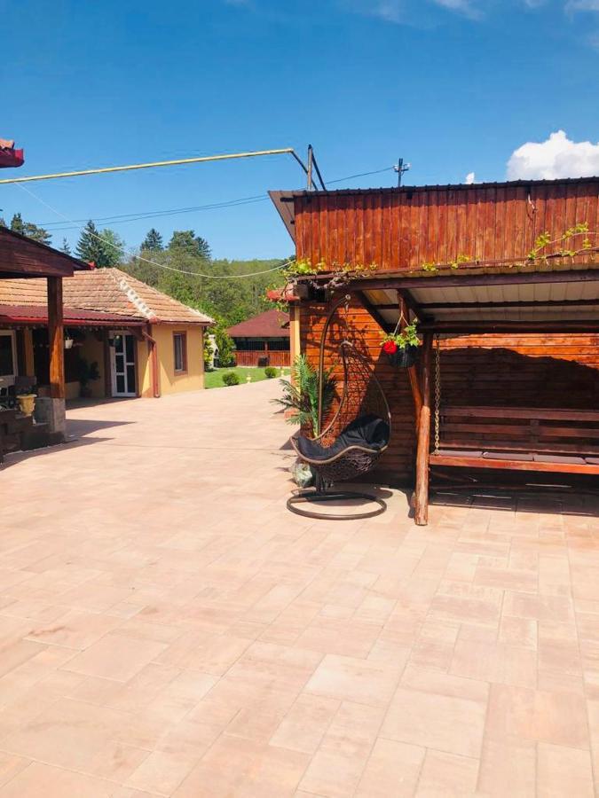 Hotel Casa Alexia Haţeg Exterior foto